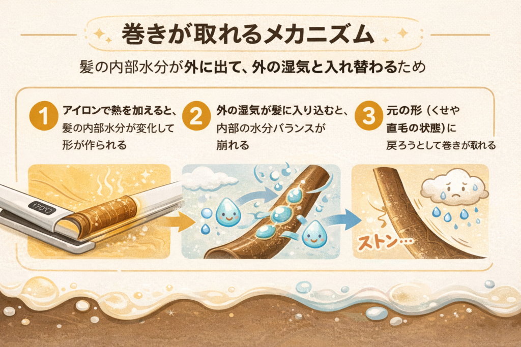 前髪の巻きが取れるメカニズム図解
