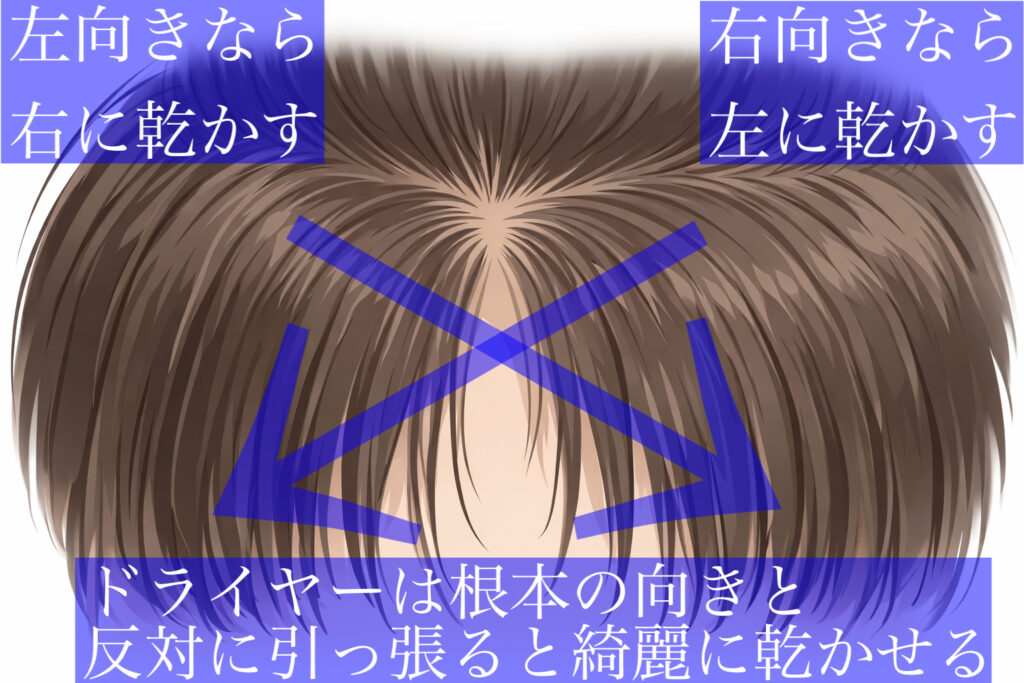 ドライヤーは根本の向きと反対に引っ張ると綺麗に乾かせる 図解